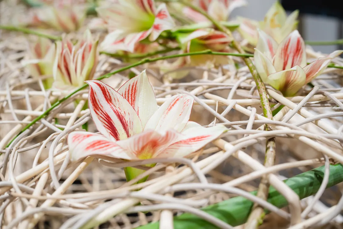 Wilgenmand-bloemen-Beerenberg_OevermansUitvaartverzorging